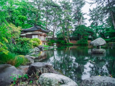 生命力あふれる深緑の夏の庭園