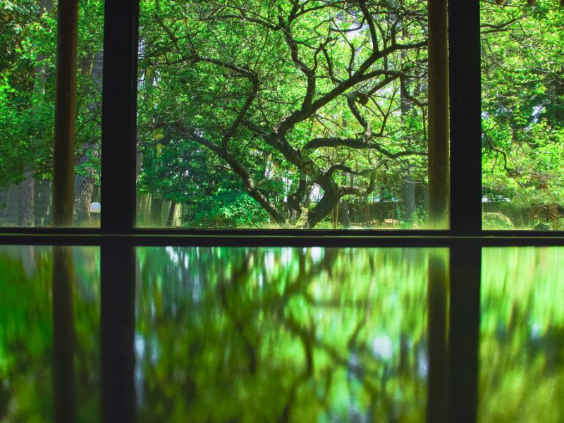 夏の庭園を望む湯