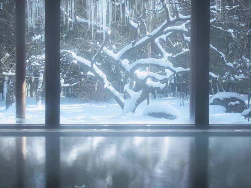 冬の庭園を望む湯
