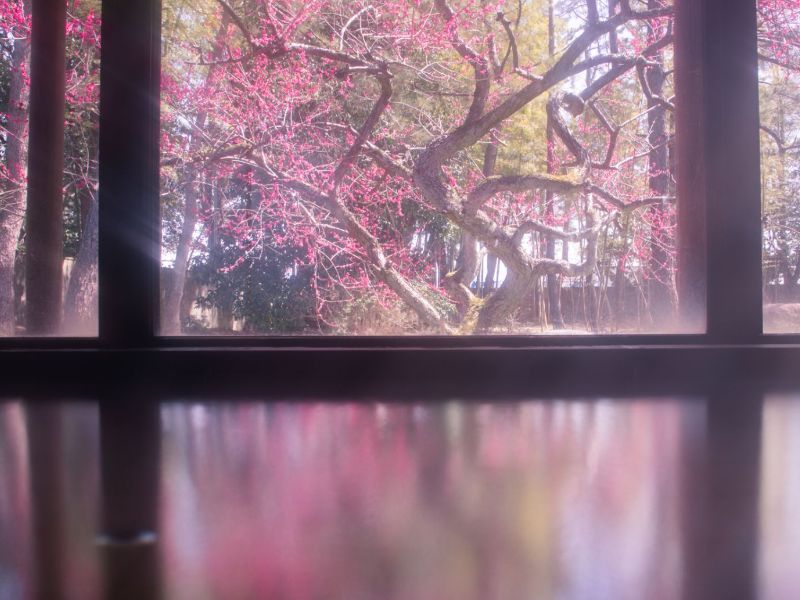 春の雪景色と湯