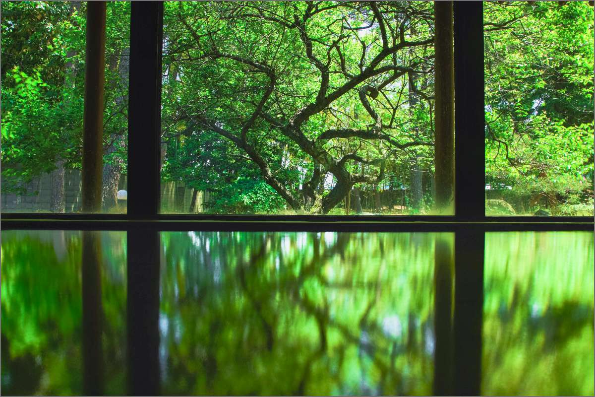 温泉